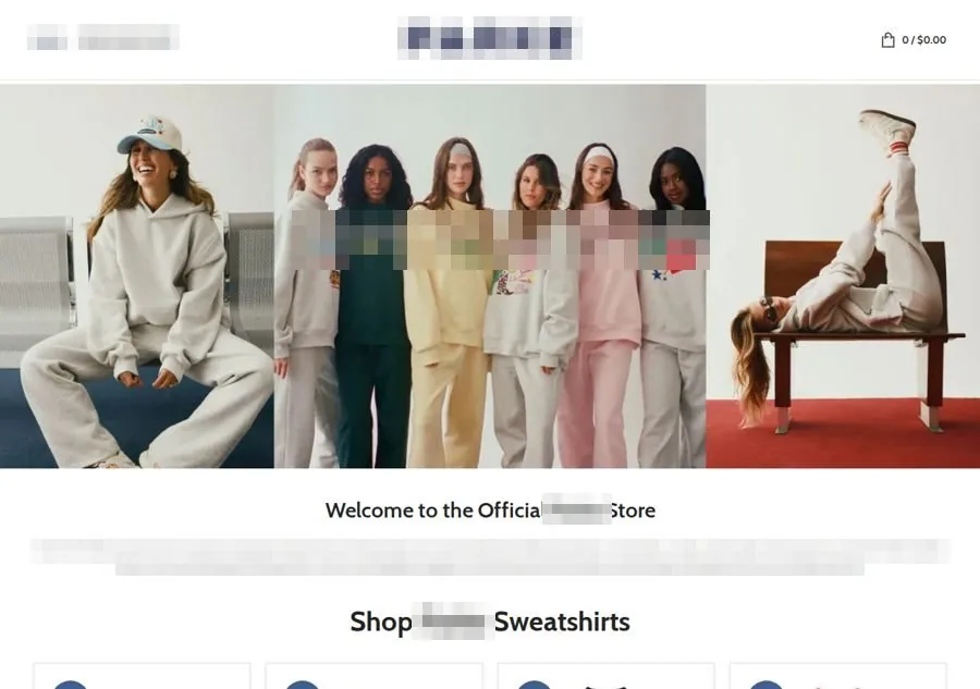 Capture of a storefront presenting itself as the brand's official store, brand name blurred