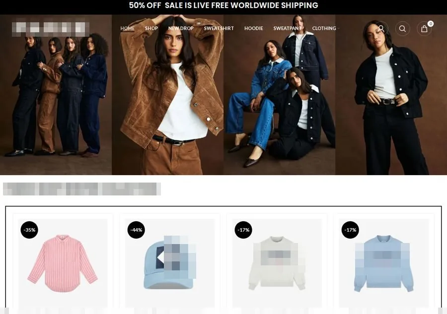 Capture of a storefront that calls itself the brand's official store, brand name blurred